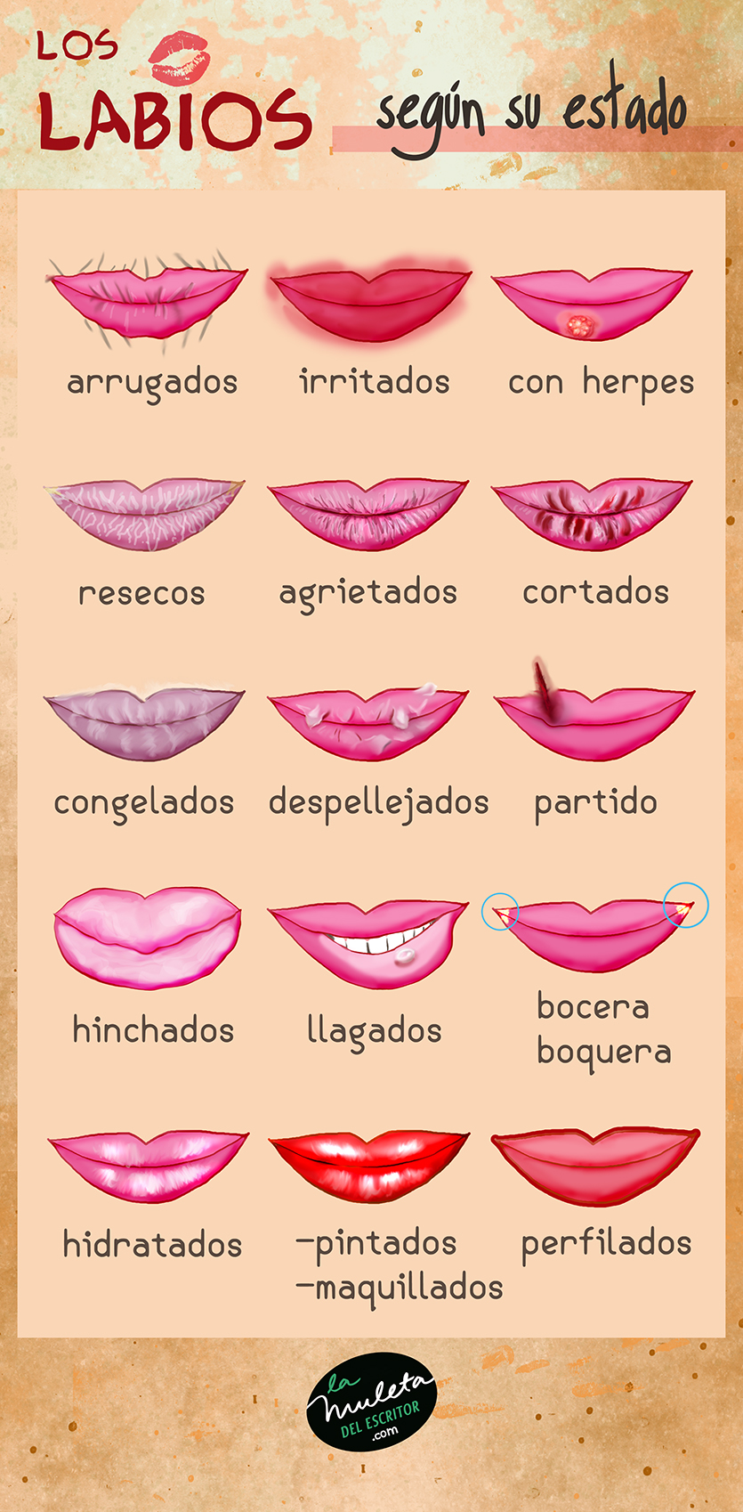 labios según su estado