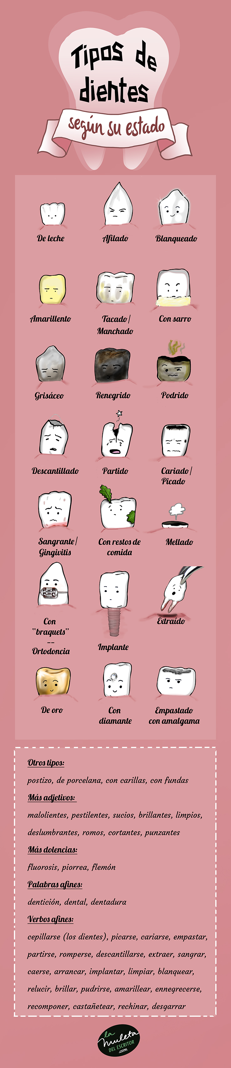 tipos dientes según estado