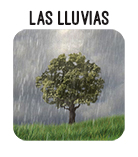 boton lluvias