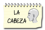 LA CABEZA