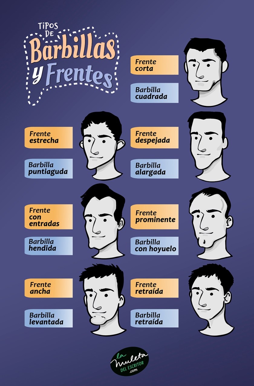 tipos de barbillas y frentes