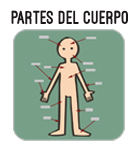 partes del cuerpo