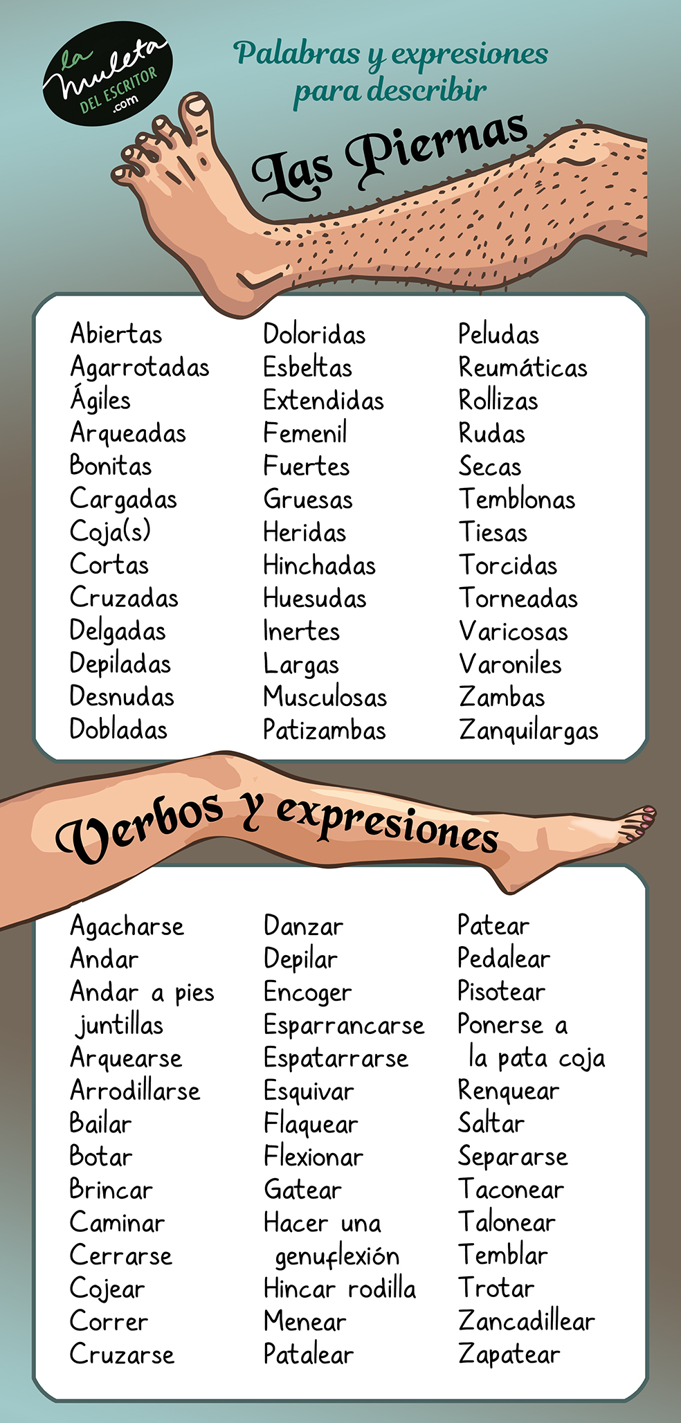 DESCRIBIR LAS PIERNAS FICHA