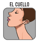 el cuello boton