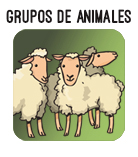 boton grupos animales