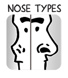 BUTTON NOSE TYPES