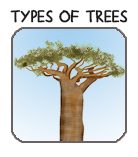 BUTTON TYPES OF TREES