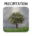 button precipitation