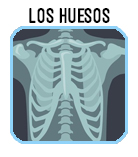 BOTON LOS HUESOS